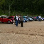 VW Bugs